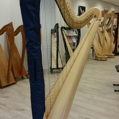 Salvi Säulenschutz GC blau